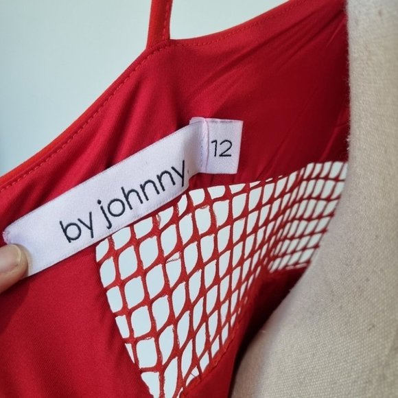 By Johnny Red V-Neck Mesh Panel Sheath Midi Dres Size 12 - Picture 8 of 8